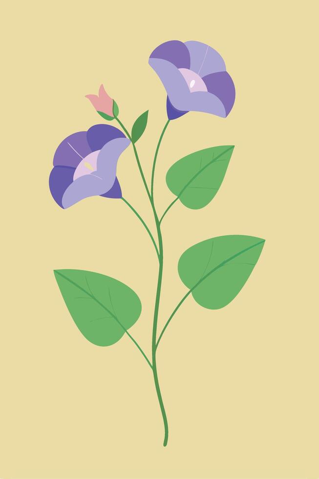 Elegant Purple Morning Glory Flowers, Green Leaves, Botanical Art vector