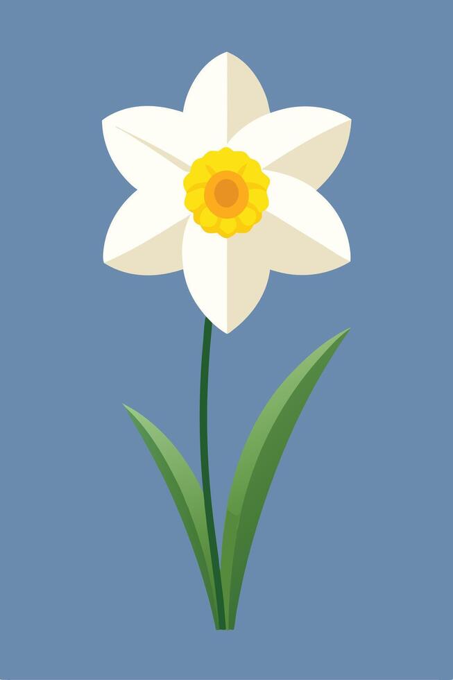 Single Daffodil Flower Blossom Springtime Nature Graphic Design Illustration vector
