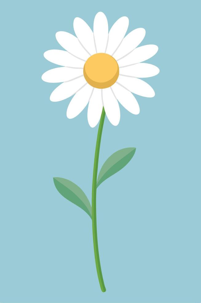Single Daisy Flower Illustration Simple, White, Petals, Stem, Leaves, Bloom vector