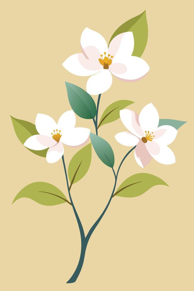 Elegant White Blossoms, Green Leaves, Floral Branch, Nature Illustration vector