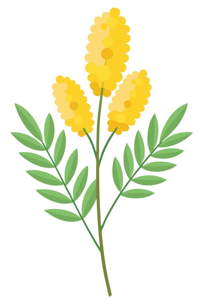 Elegant Yellow Flower Sprig Botanical Illustration of Nature vector