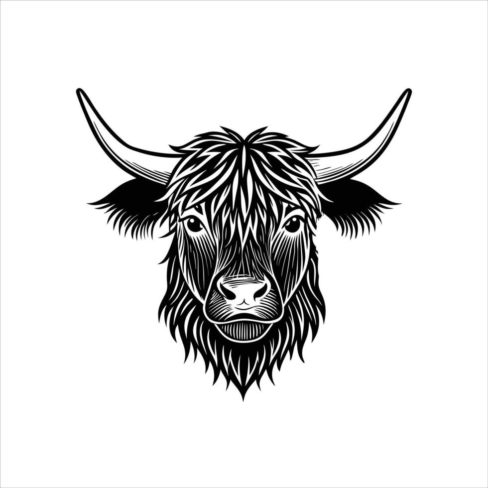 Scottish Highland Cow . vector