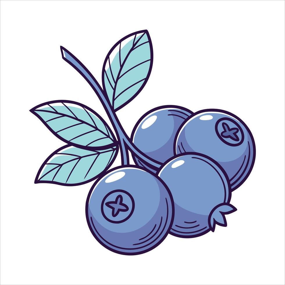 Blueberry Fruit Art Illustration vector