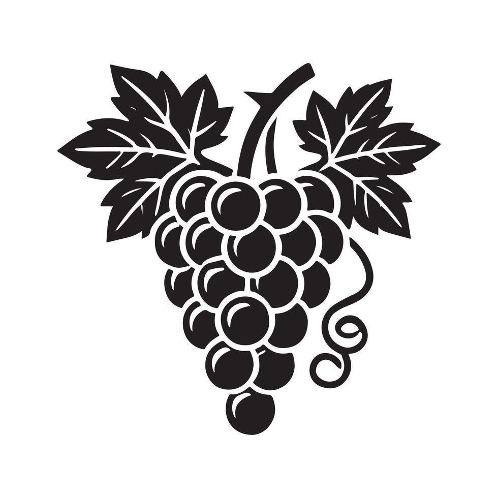grapes monochrome sketch. Hand drawn grape bunches. vector