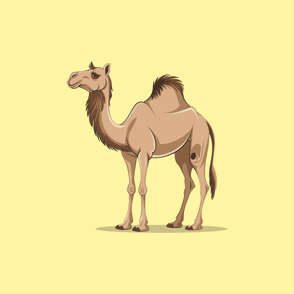 Cute Cartoon Camel Illustration On White Background vector