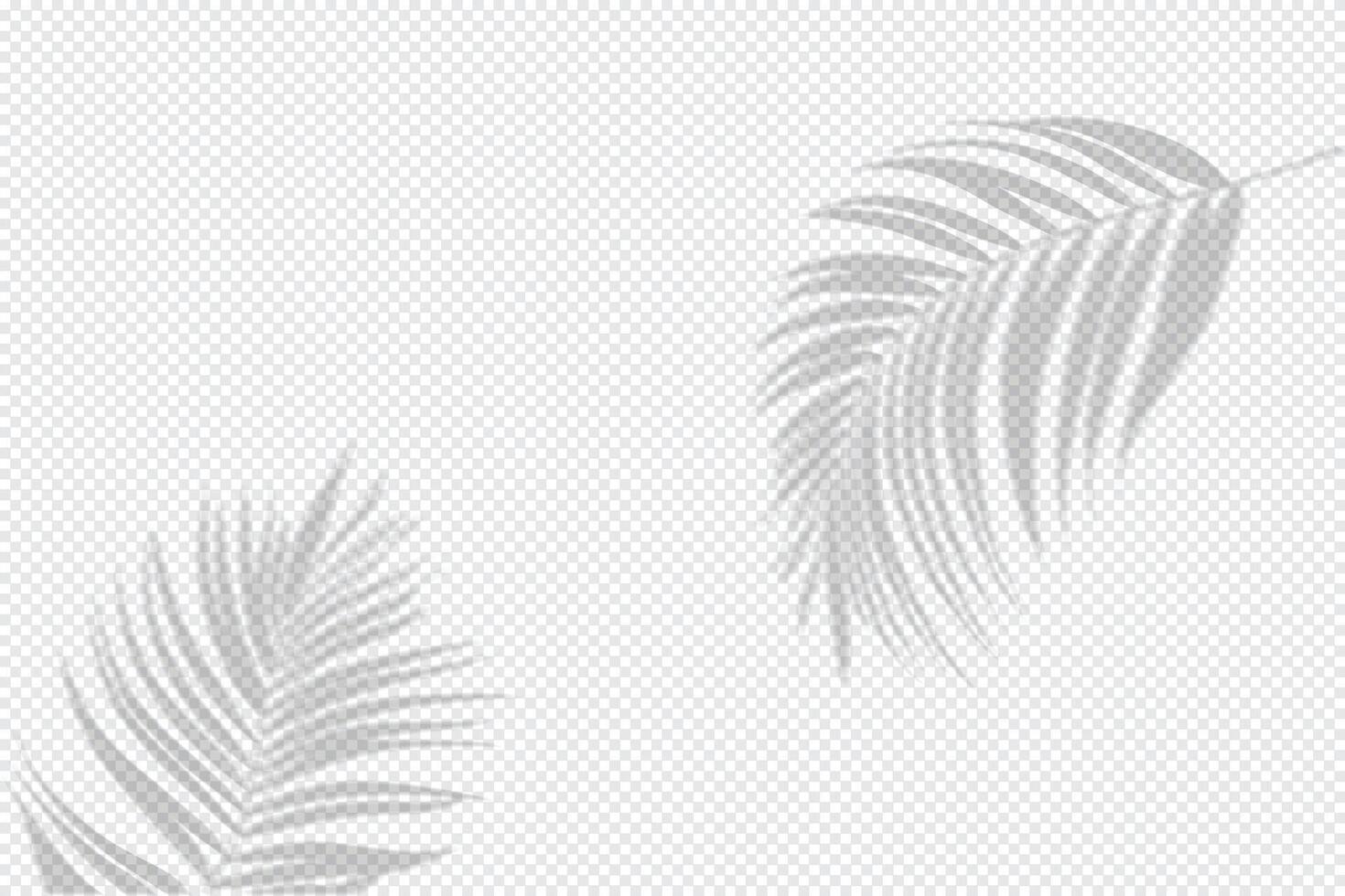 Shadows of Leaves. Decorative Design Elements for Collages vector