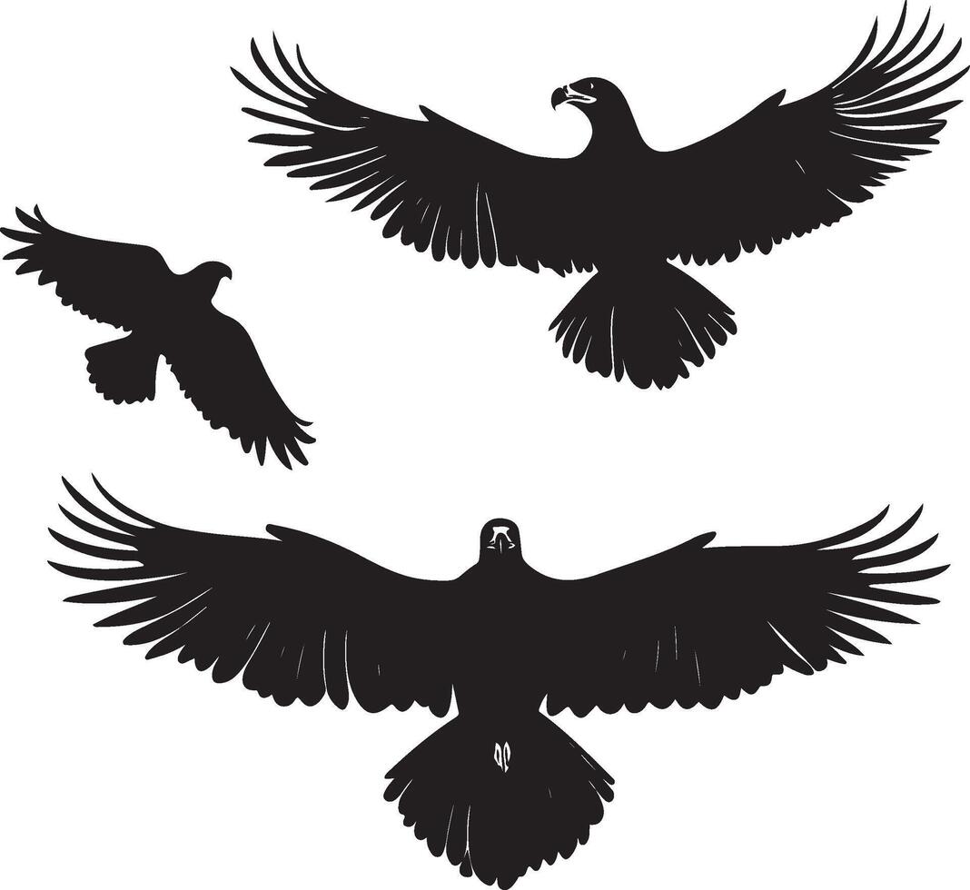 Soaring Griffon Vulture Silhouettes for Bird and Wildlife Designs vector