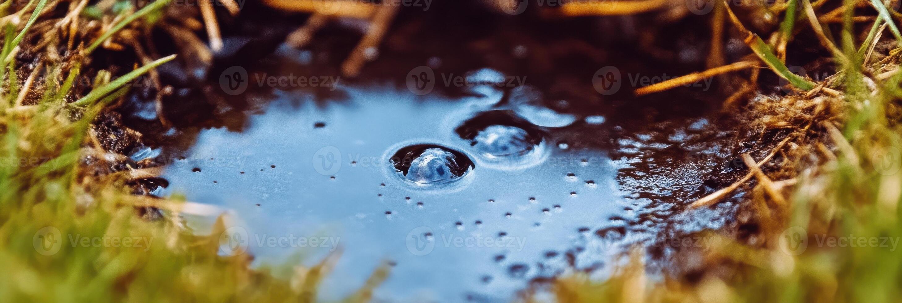 Close-up of water puddle with bubbles on grass surface photo