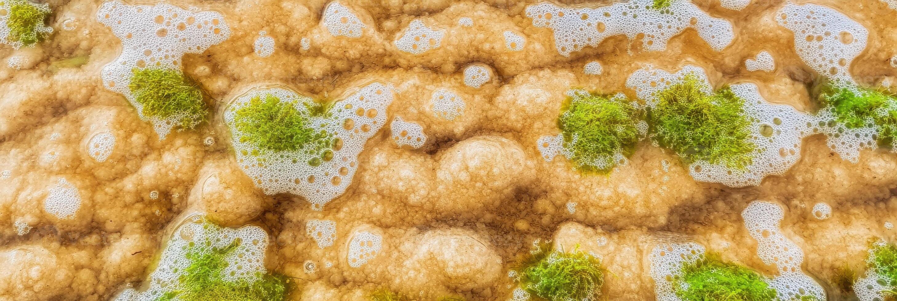 Close-up of algae and foam patterns in natural water surface abstract texture photo
