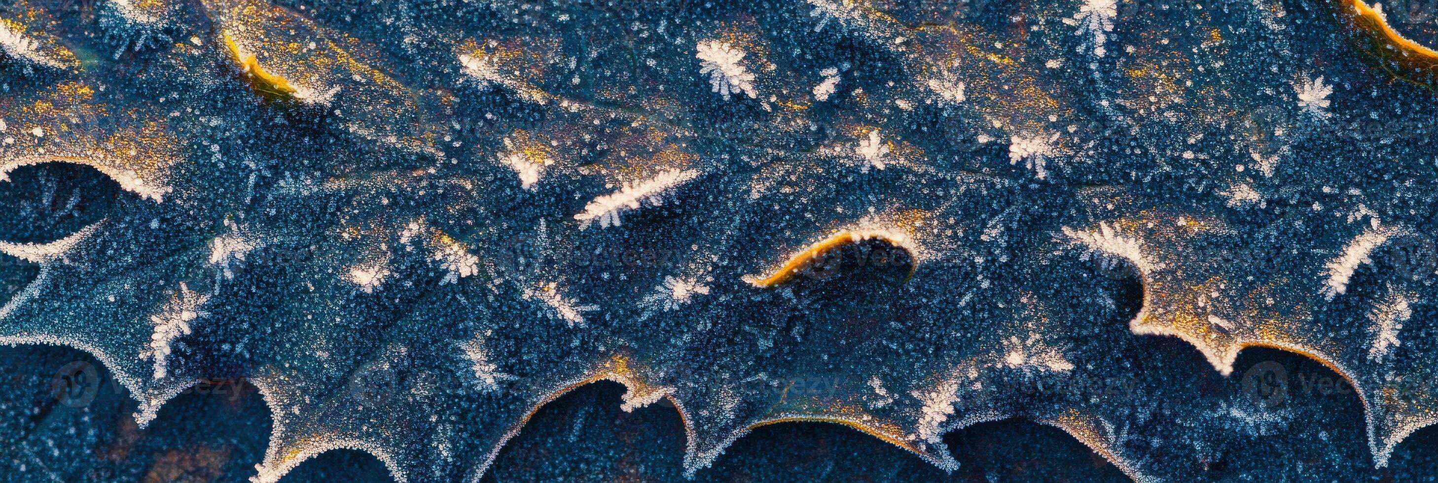 Frost-covered leaf in close-up capturing winter intricate patterns photo