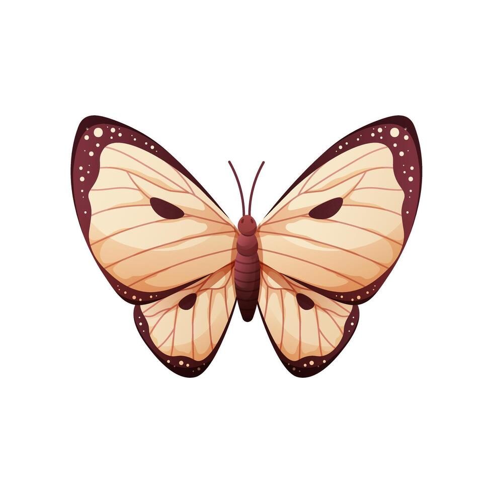 Black and white butterfly on white background. Cabbage butterfly, colorful winged insect. cartoon illustration vector