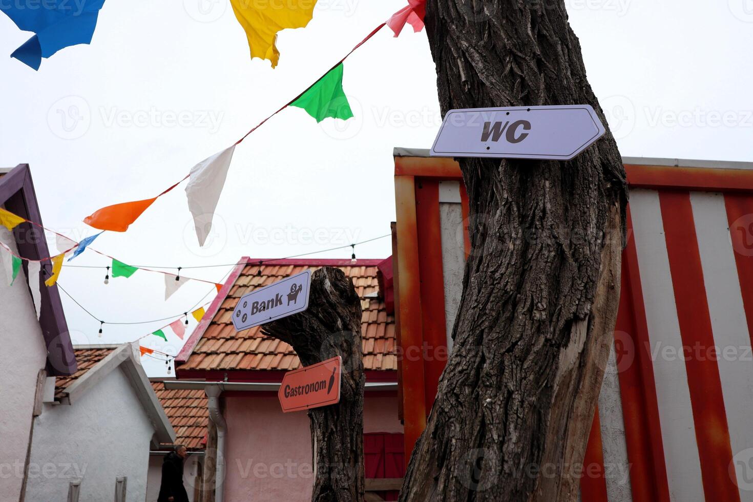 Whimsical Directional Signs Positioned in a Colorful and Engaging Outdoor Setting for Everyone photo