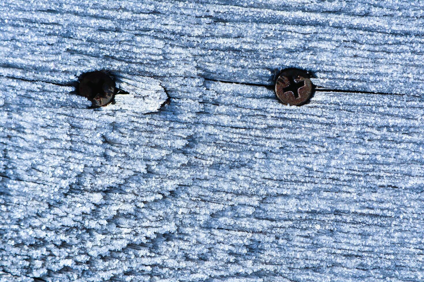 Rusty Nails Positioned on a Weathered and Worn Out Wooden Surface with Distinct Character photo