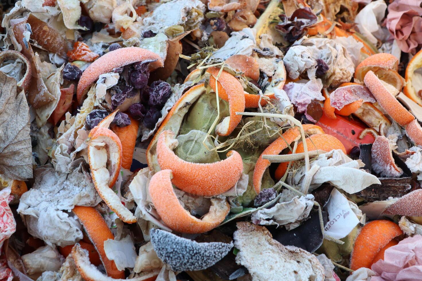 Organic Waste Pile Understanding the Realities of Food Waste Management Practices and Solutions photo