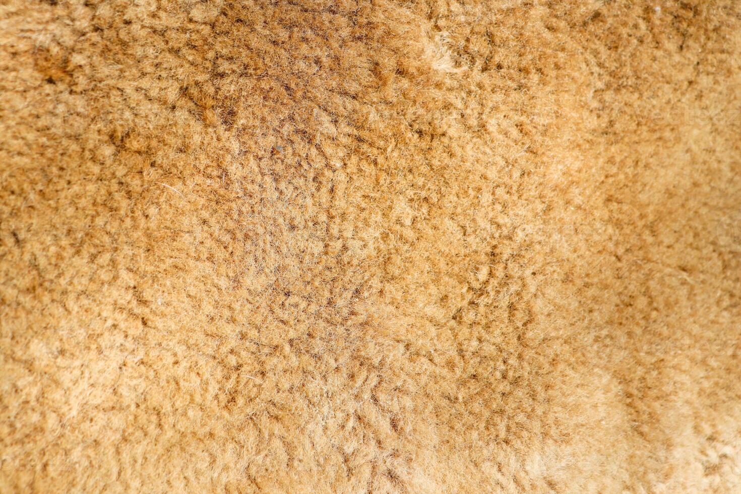 A Warm Textured Fleece Background Ideal for Creating Cozy and Inviting Design Projects photo