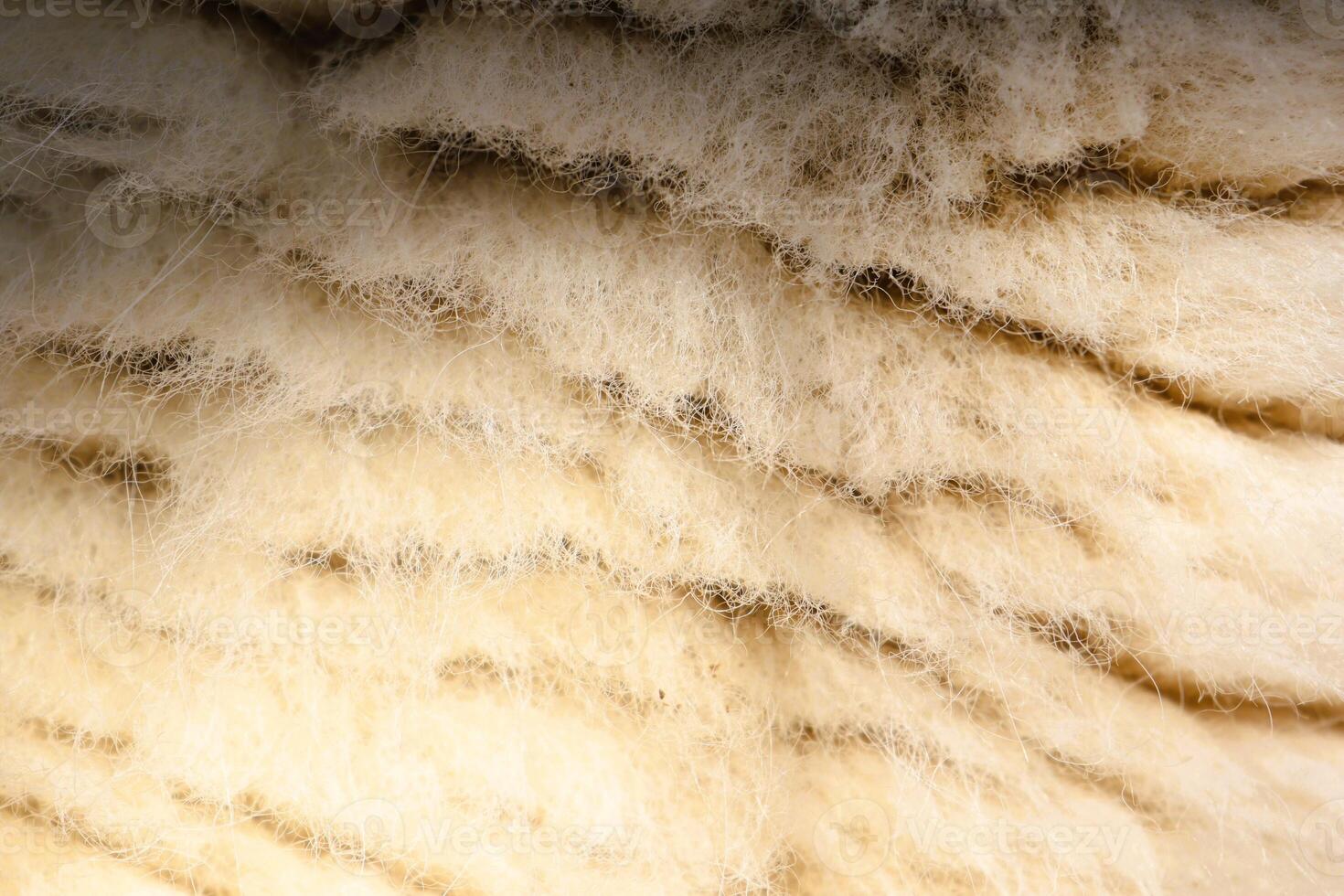 A stunning closeup photograph showcasing the soft texture of fur featuring delicate stripes photo