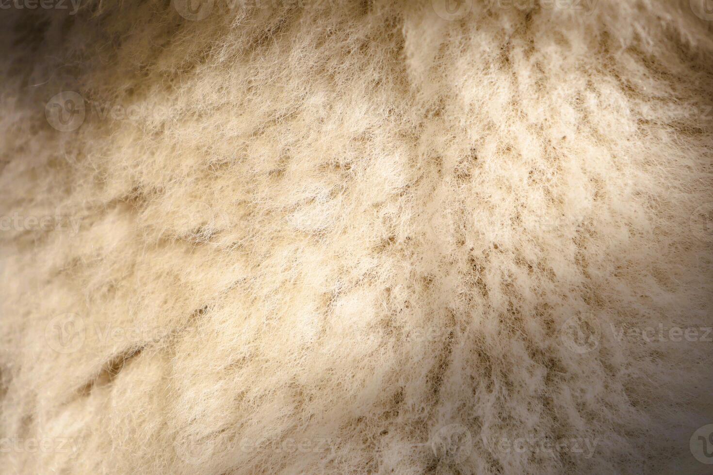 An Artistic Representation Featuring Textured Fur with A Gentle and Soft Illumination photo