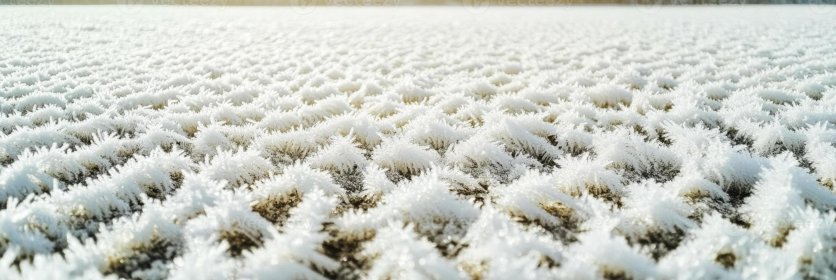 Close-up of frost patterns forming on a snow-covered field at sunrise photo
