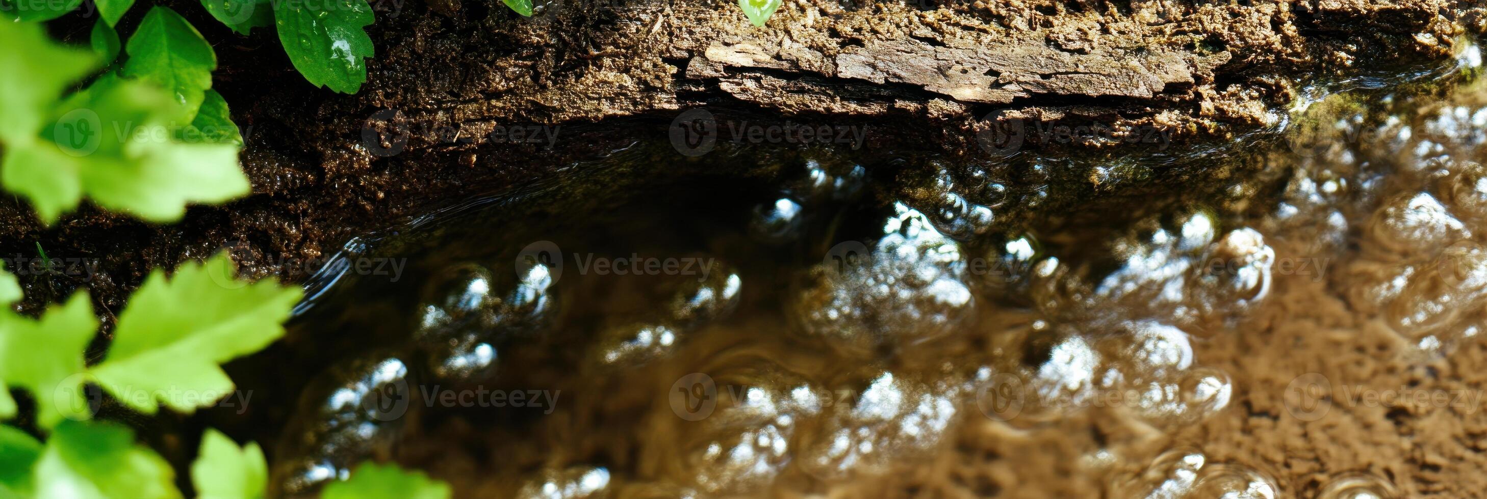 Close-up view of bubbling stream water flowing over rocks and leaves in nature photo
