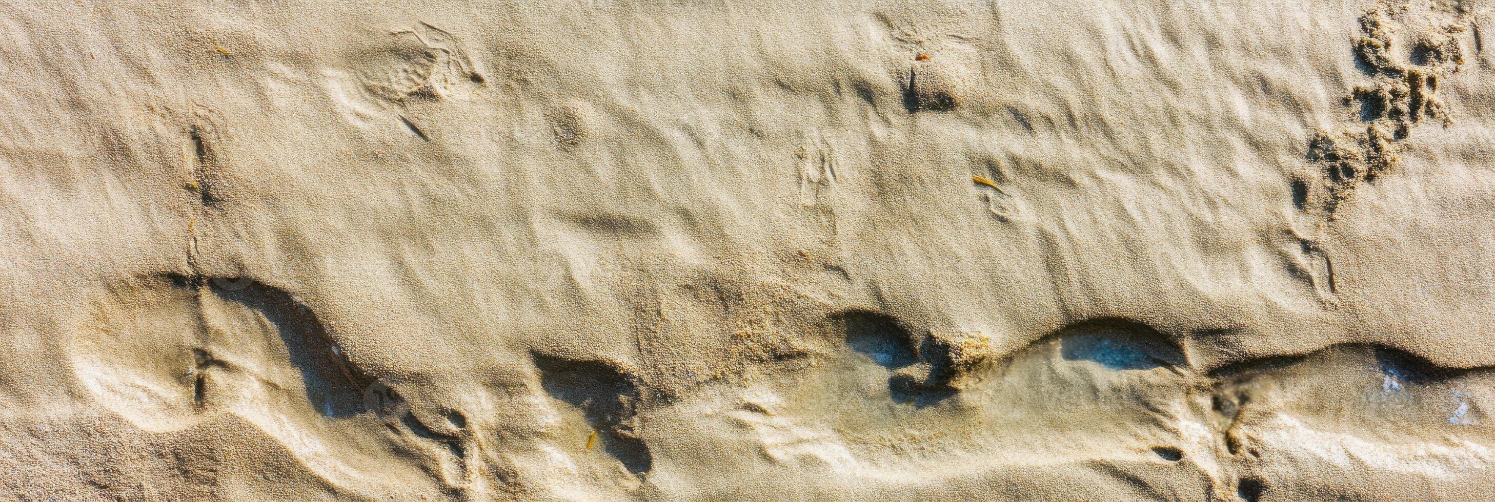 Sandy beach with footprints capturing nature's textured patterns photo