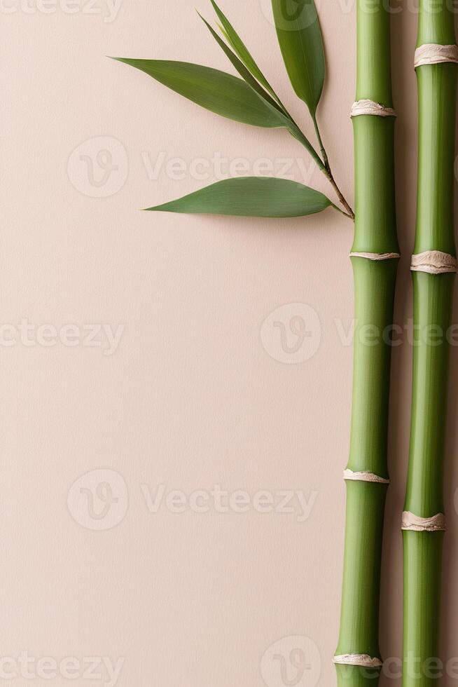 Soft green bamboo stalks showcase their natural knots and leaves against a light beige gradient background. The tranquil arrangement invites creativity and peaceful reflection photo