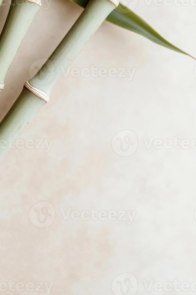 Bamboo stalks elegantly arch inward, forming a circular frame perfect for displaying branding text or product images against a soft beige background. Natural light enhances the tranquil, organic feel photo
