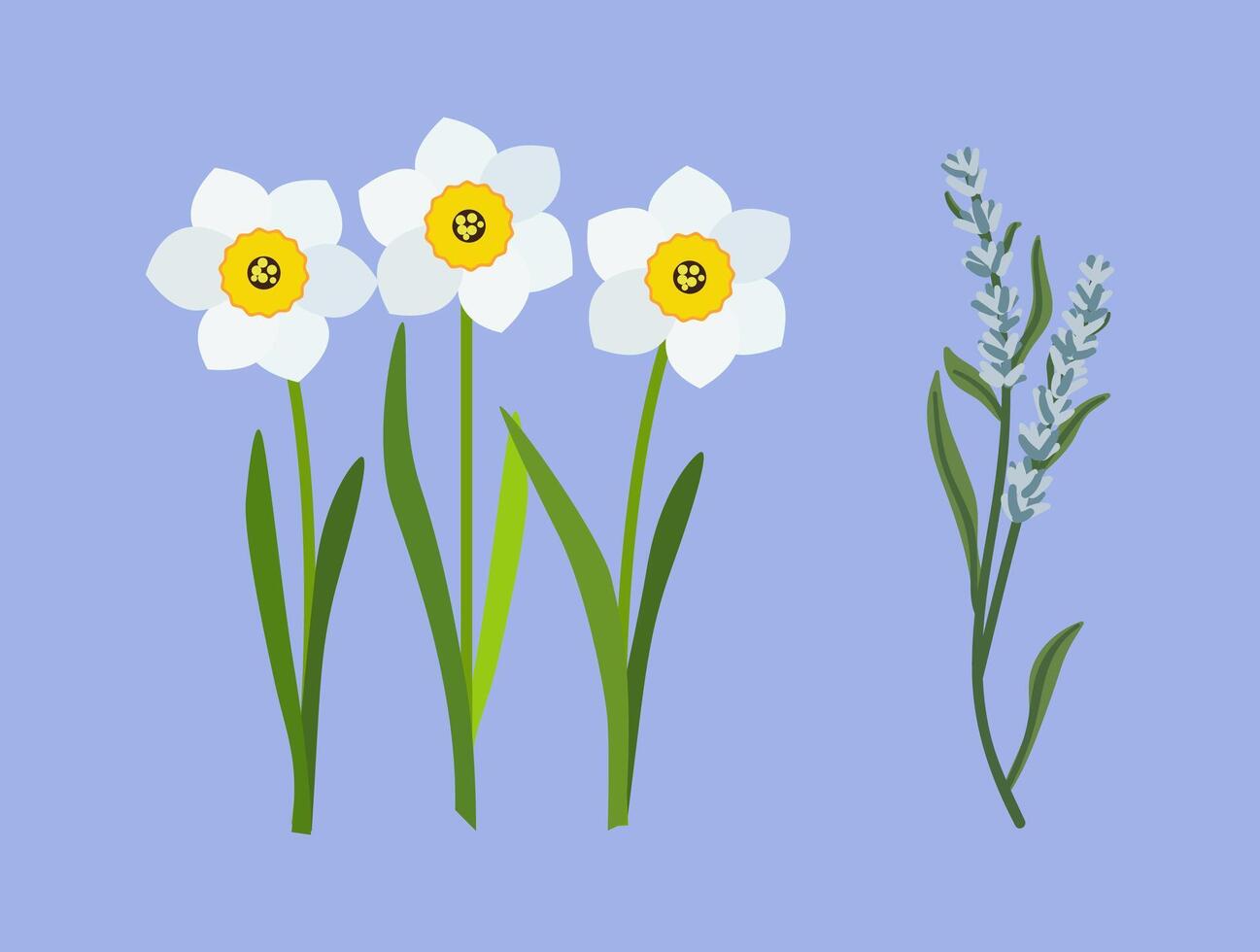 Set with various flat design flowers on blue colour vector