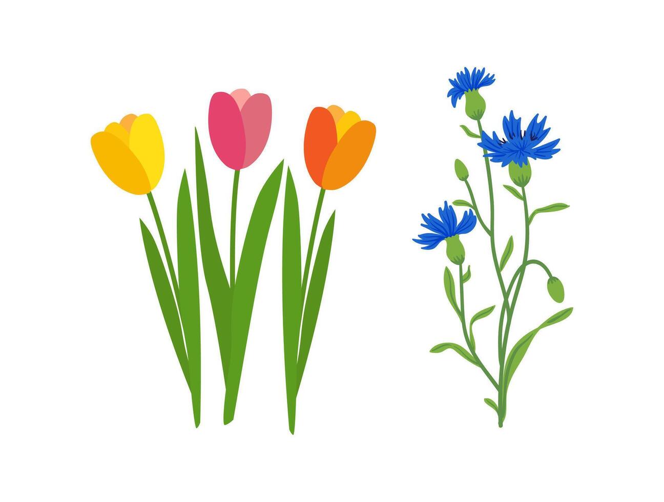 Set with various flat design flowers vector