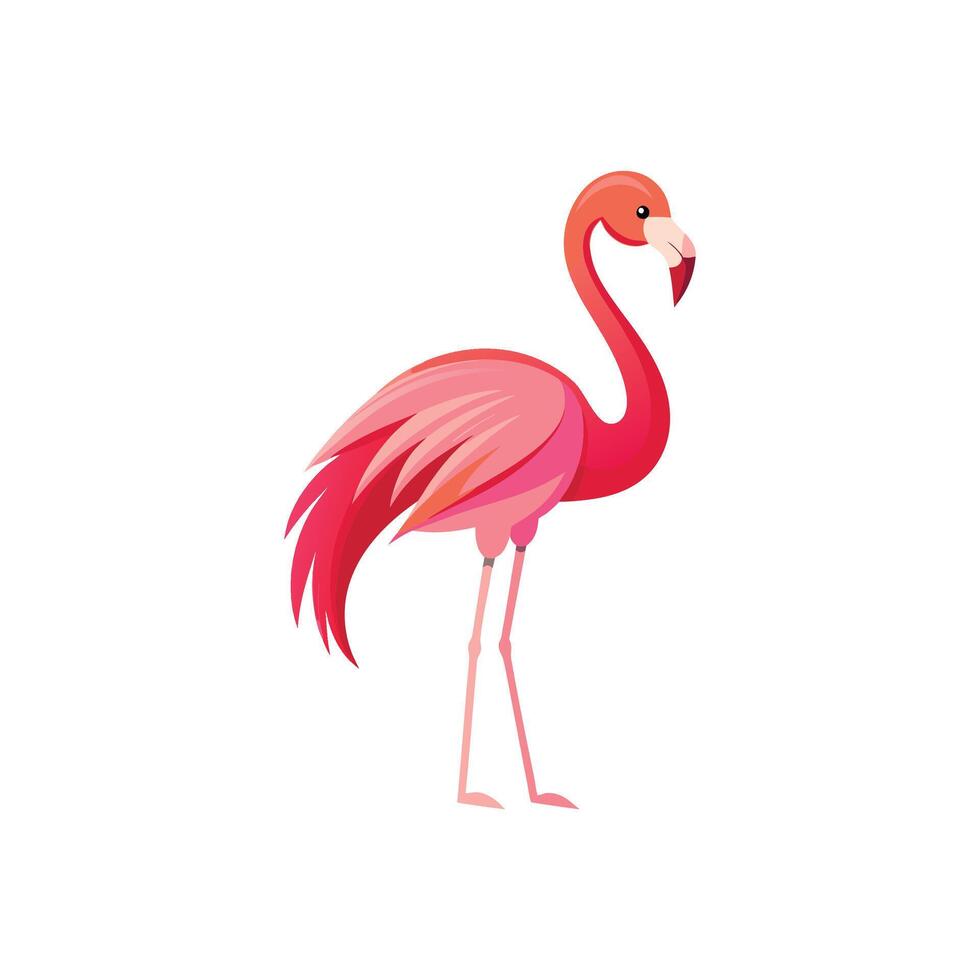 Elegant Flamingo Standing in a Tropical Paradise vector