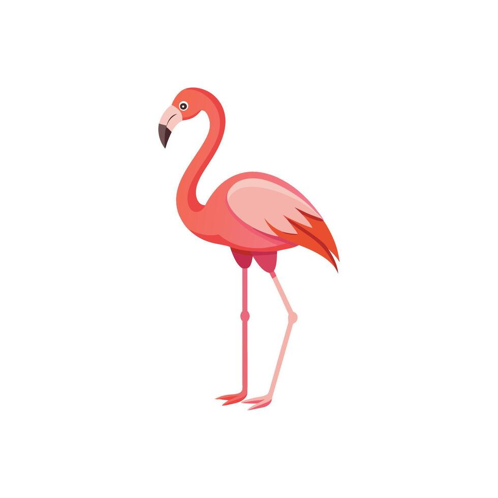 Graceful Flamingo with Vibrant Feathers Illustration Design on White Background vector