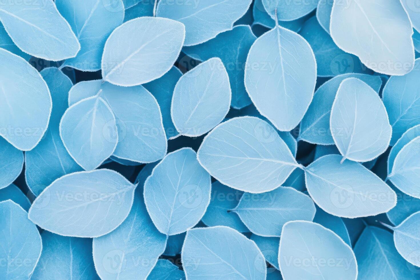 Frost-covered leaves in soft blue and gray hues create a tranquil atmosphere with a blurred natural background showcasing natures intricate beauty photo