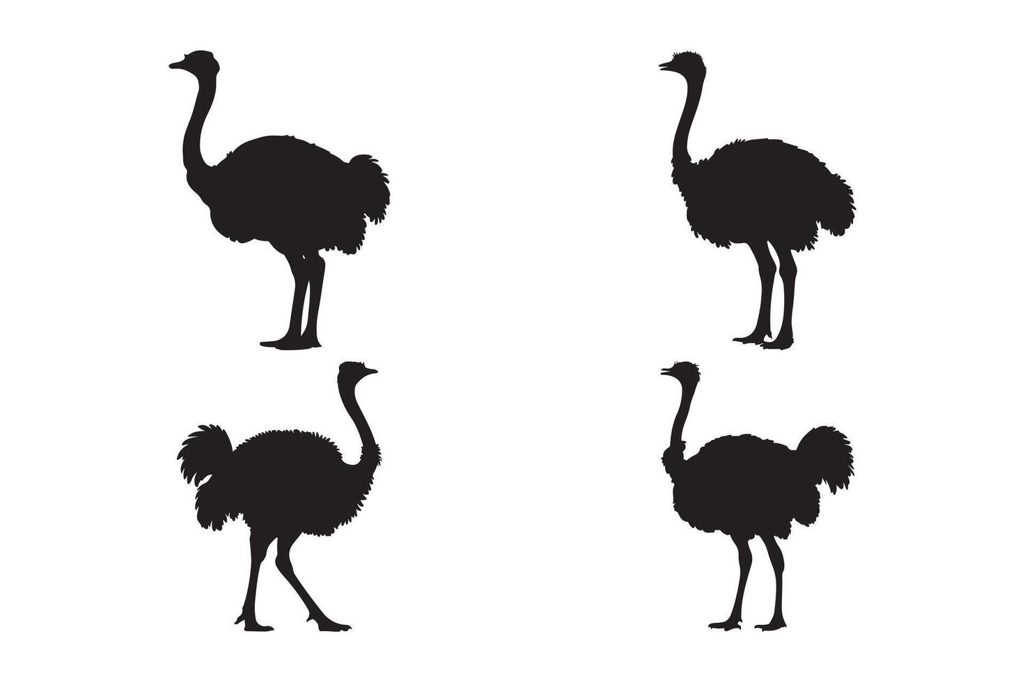 Black Ostrich Silhouette Collection for Wildlife Design vector