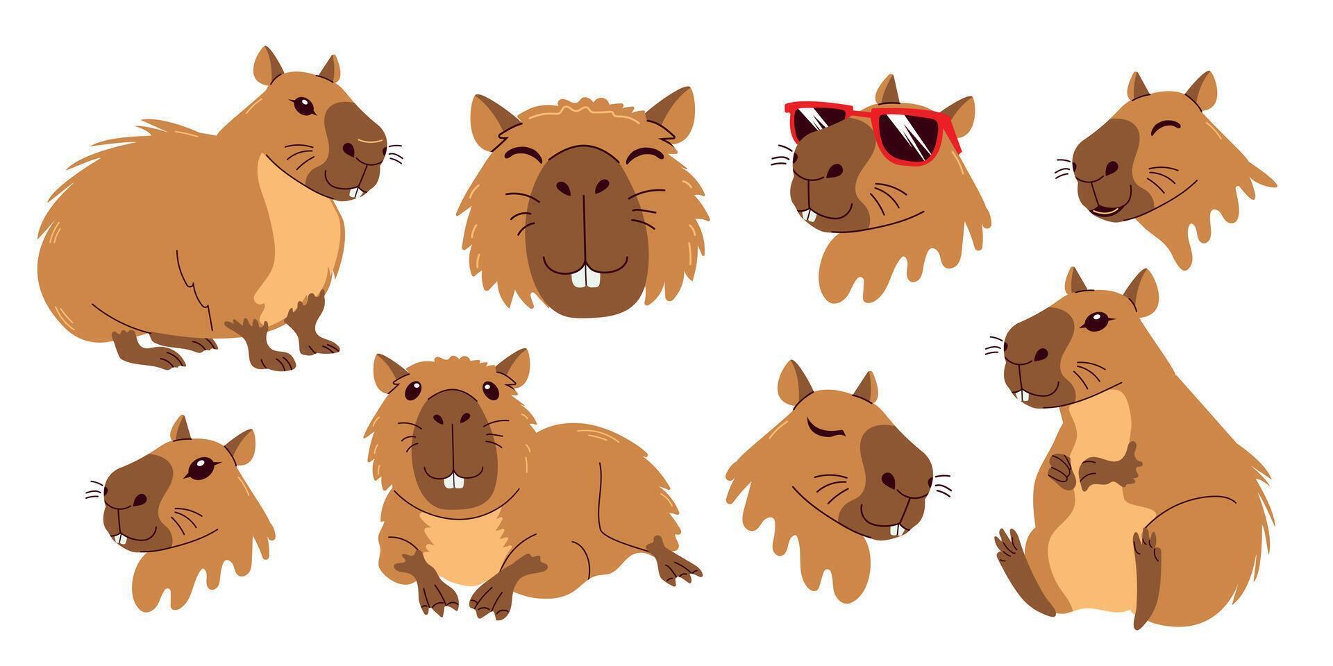 Cute capybara set. Various postures and expressions, white background. Funny flat animal collection. Hand drawn capibara isolated print design for sticker, postcard, tshirt. vector