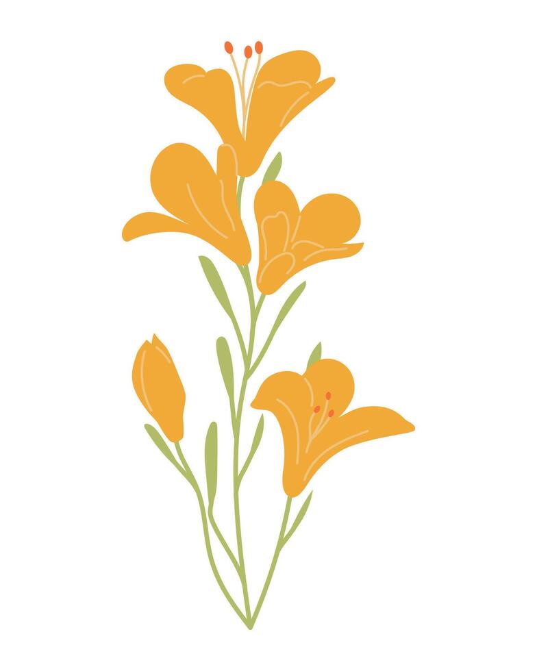 Minimalist beautiful illustration of elegant yellow lily flowers with delicate green stems and buds. Ideal for use in botanical design, greeting cards, wedding invitations vector