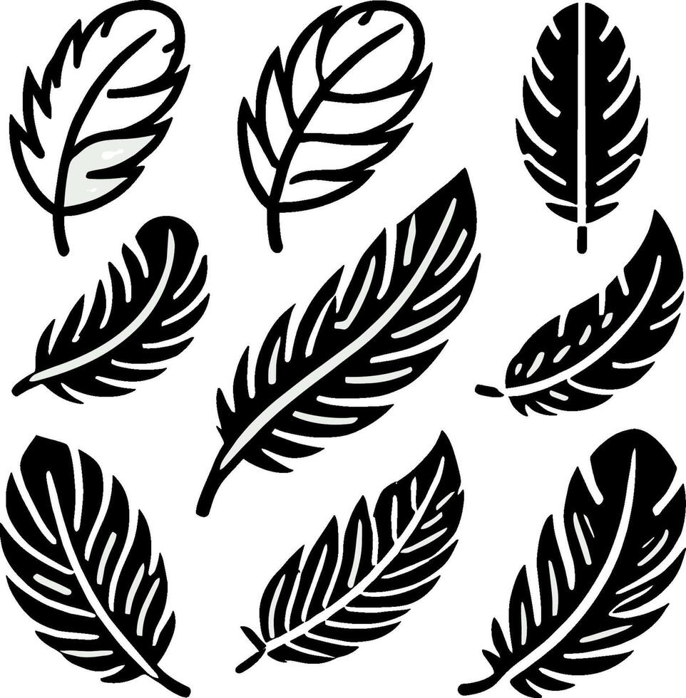 Feather icon set. Collection of black feathe on isolated background. Minimalist illustration. vector