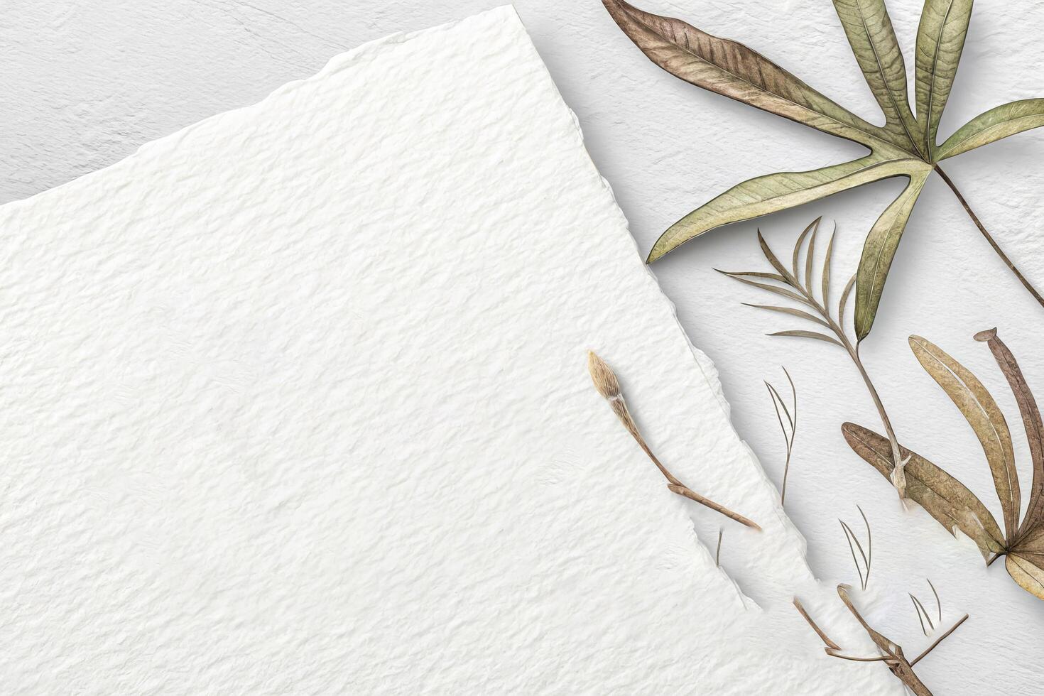 Soft White Watercolor Sheet photo