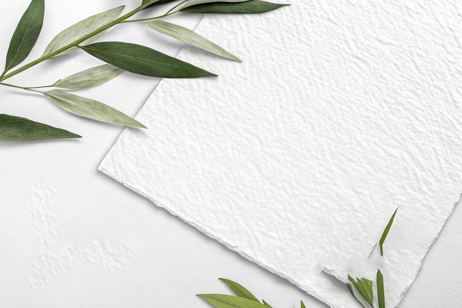 Watercolor Paper Textured Surface photo