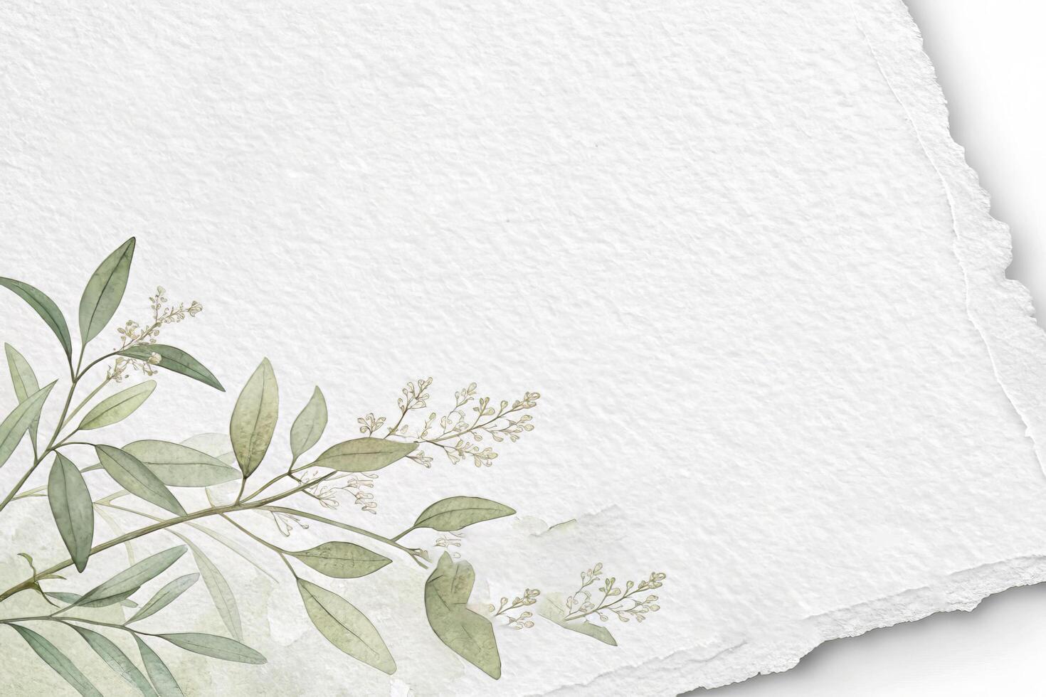Elegant White Paper Texture photo