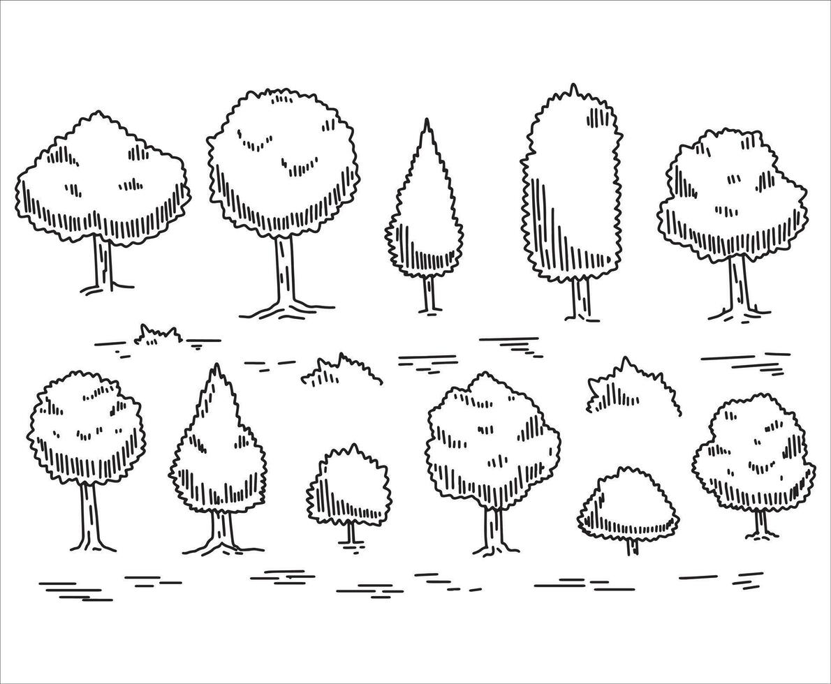 Tree drawing set. Doodle contour oak. Nature plant with leaf. Line forest element. Outdoor environment landscape. Sketch wood garden vector