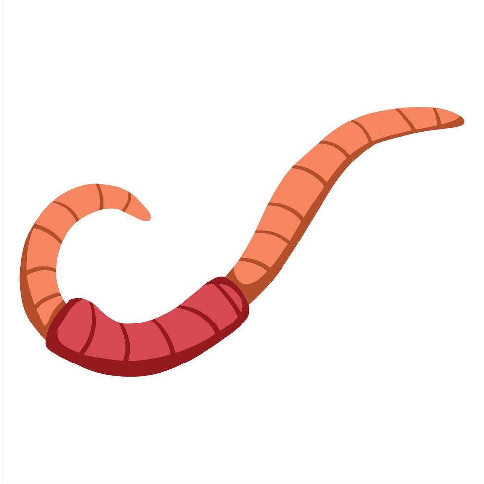 Worm bait. Cartoon creep. Cartoon insect animal. Invertebrate bug. Slimy earthworm crawler vector