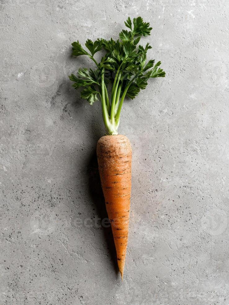 Fresh organic carrot with green leaves on gray background. photo