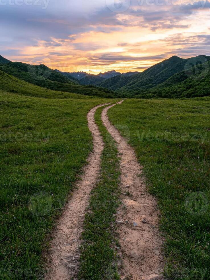 Dirt road leading through grassy field towards mountains at sunset photo