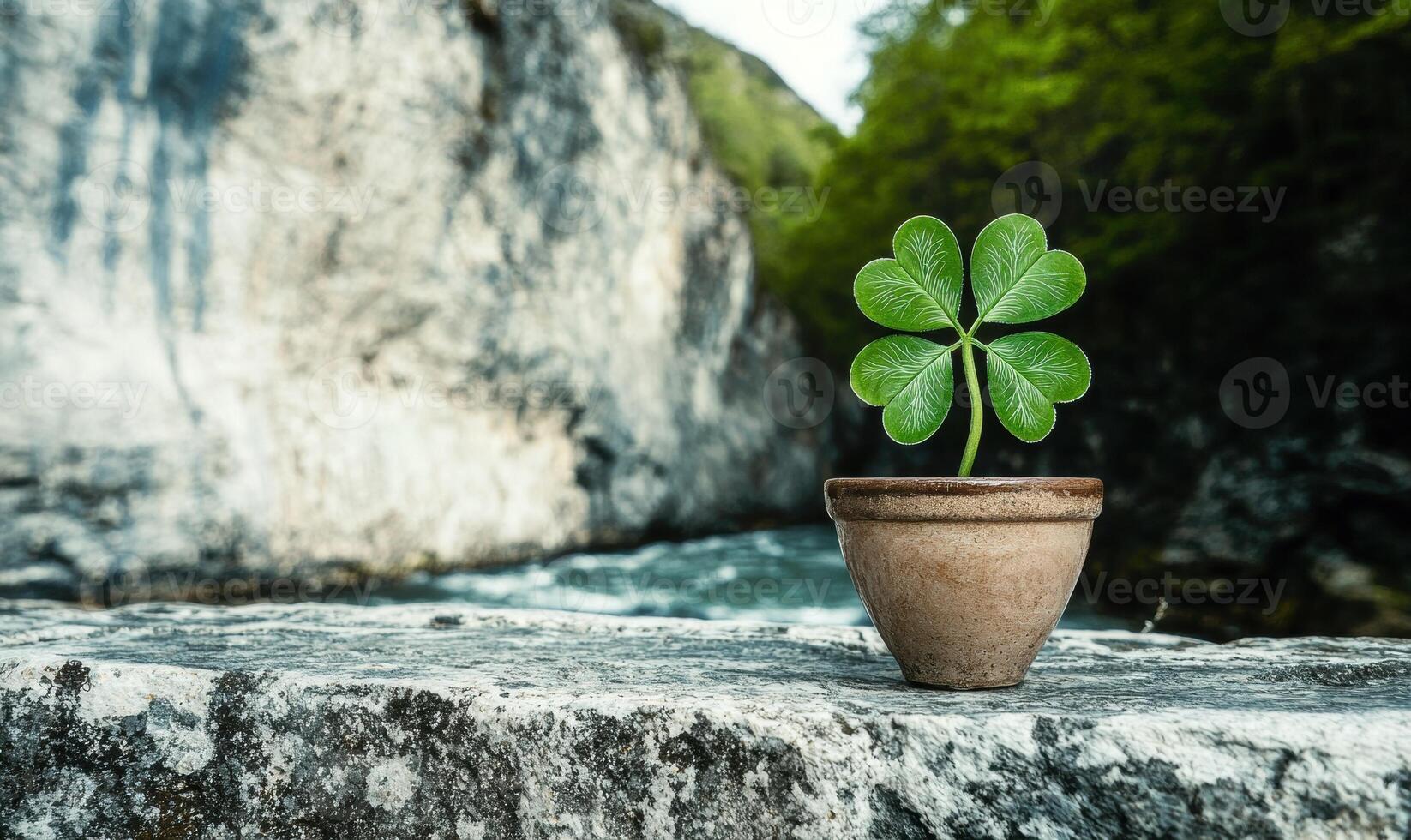 Four leaf clover in a pot on a rock by a river photo