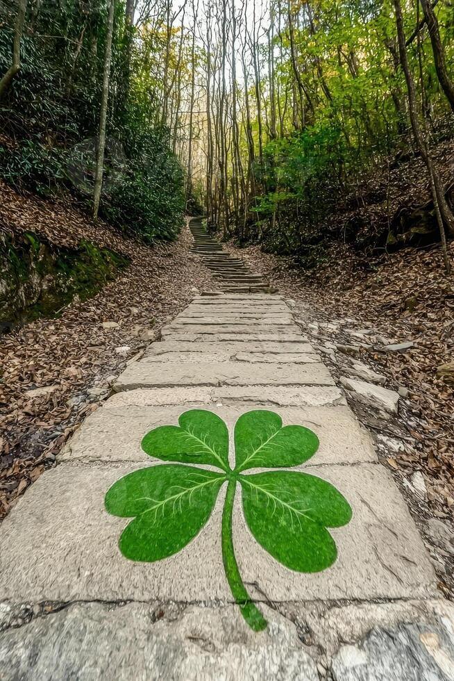 Stone steps leading up a path through the woods with a four leaf clover painted on the ground photo