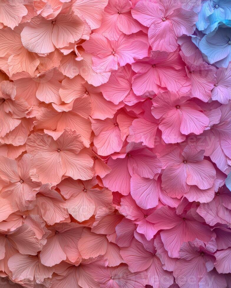 Pastel pink and blue flower petals background photo