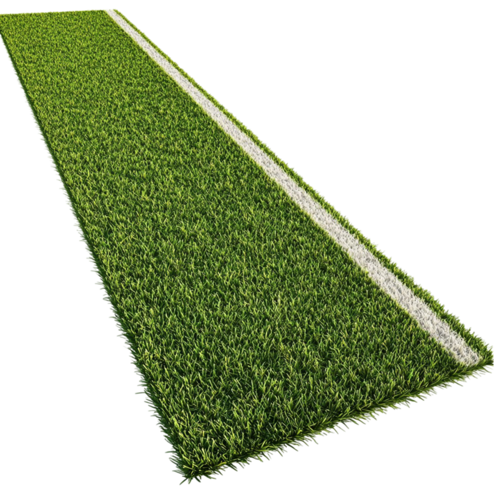 a grassy soccer field with white lines transparent background. png