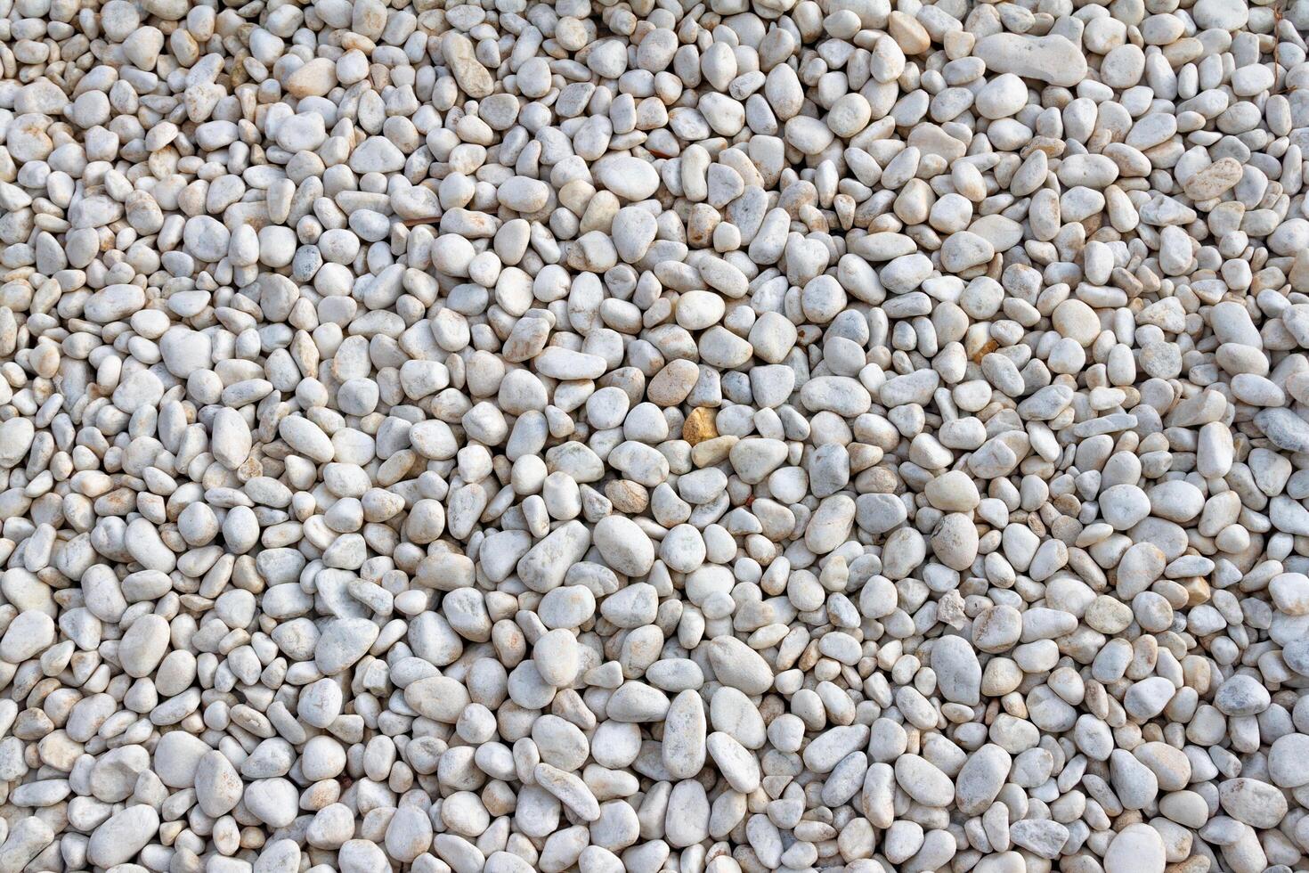 White pebble stones background texture. Close up of stone pebbles. photo