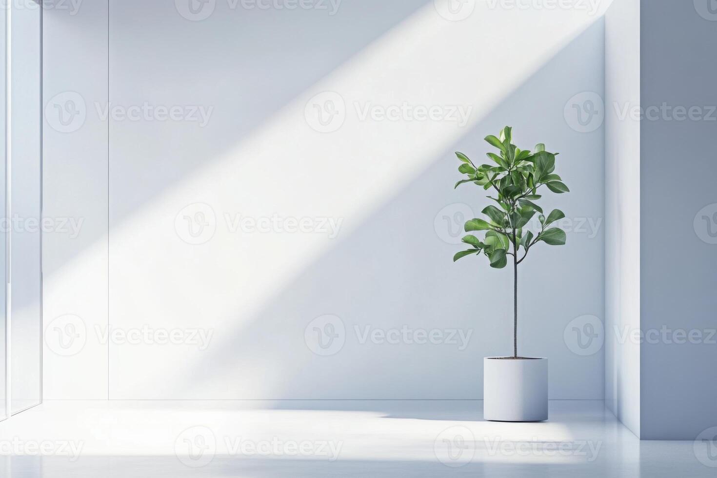 Bright indoor space with a flourishing plant in a modern decor setting during daylight photo