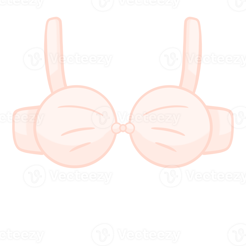 a pink bra on a transparent background png