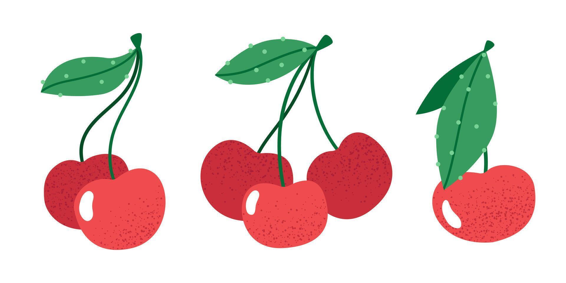 Set of cherries on a white background.Ripe cherry and bunches of cherry, set of tasty healthy red berries with green leaves vector